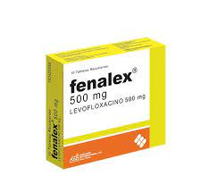 FENALEX 500 MG X 10